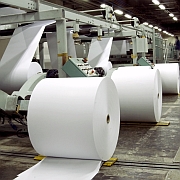 Paper Industry